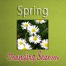 Changing Seasons - Spring - Photo Album
