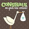 Stork Flight Congrats - Greeting