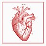Heart Diagram - Greeting